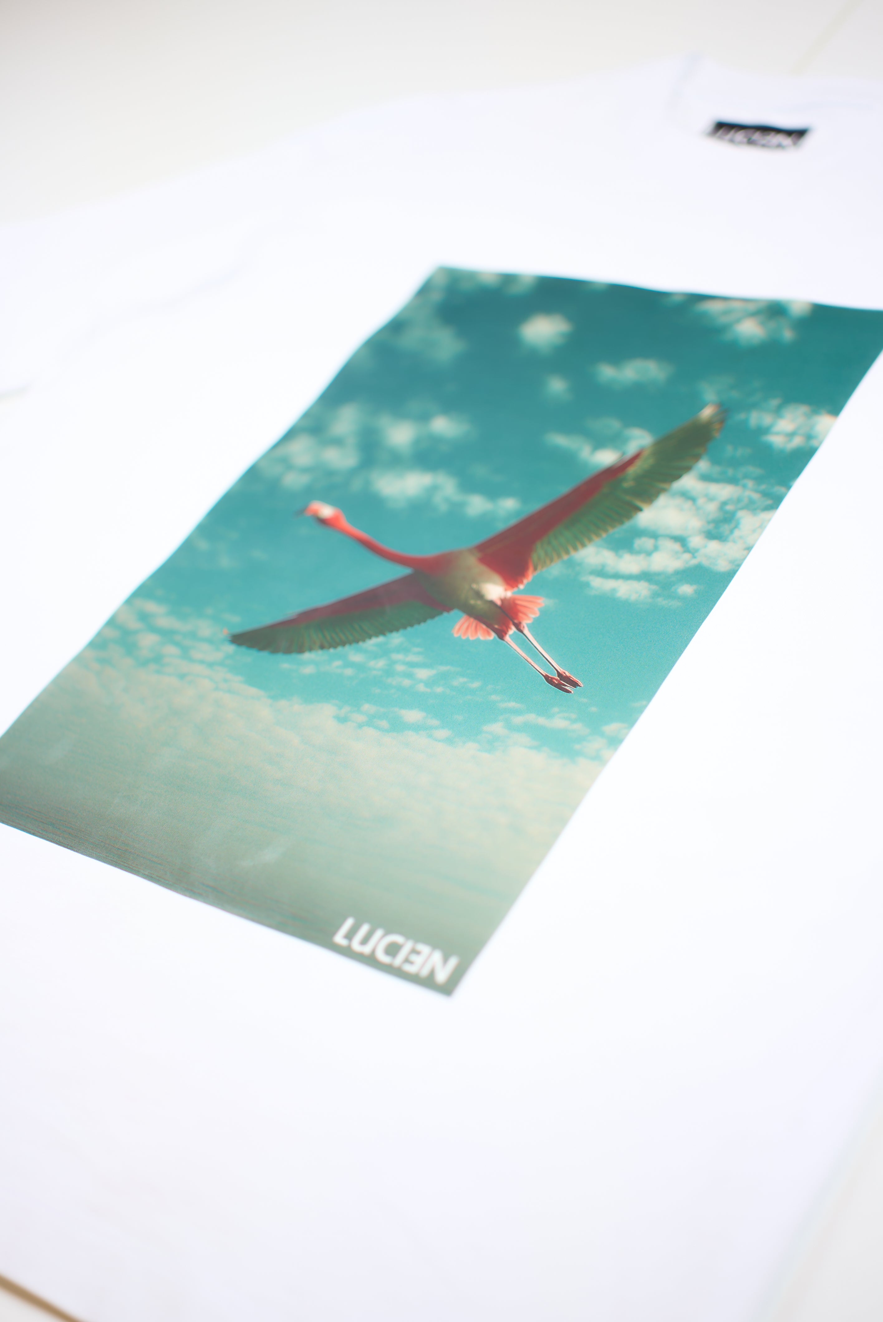 T-Shirt « Envol » Oversize blanc imprimé flamant rose - LUCIƎN