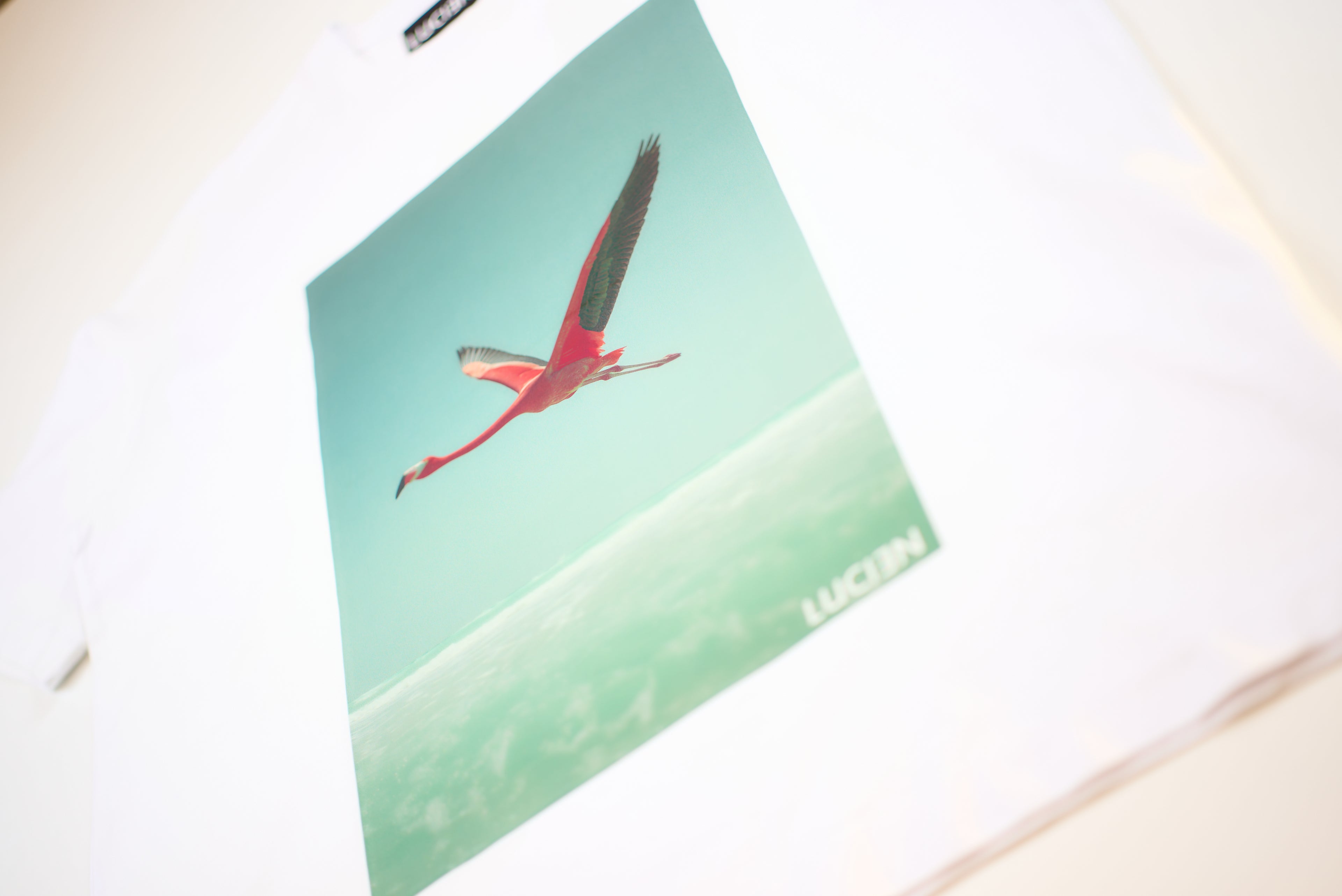 T-Shirt « Lagon » Oversize blanc imprimé flamant rose - LUCIƎN