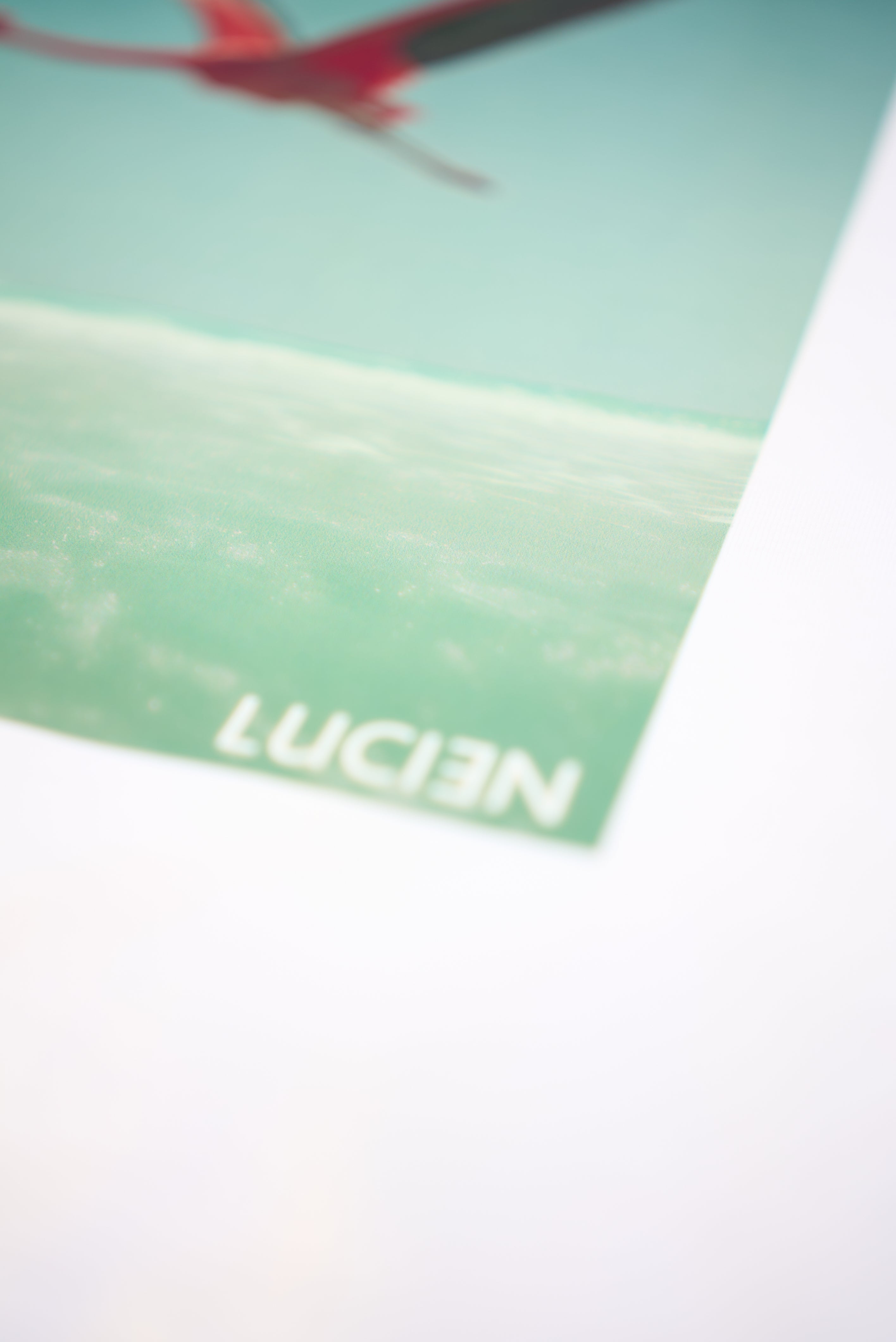 T-Shirt « Lagon » Oversize blanc imprimé flamant rose - LUCIƎN
