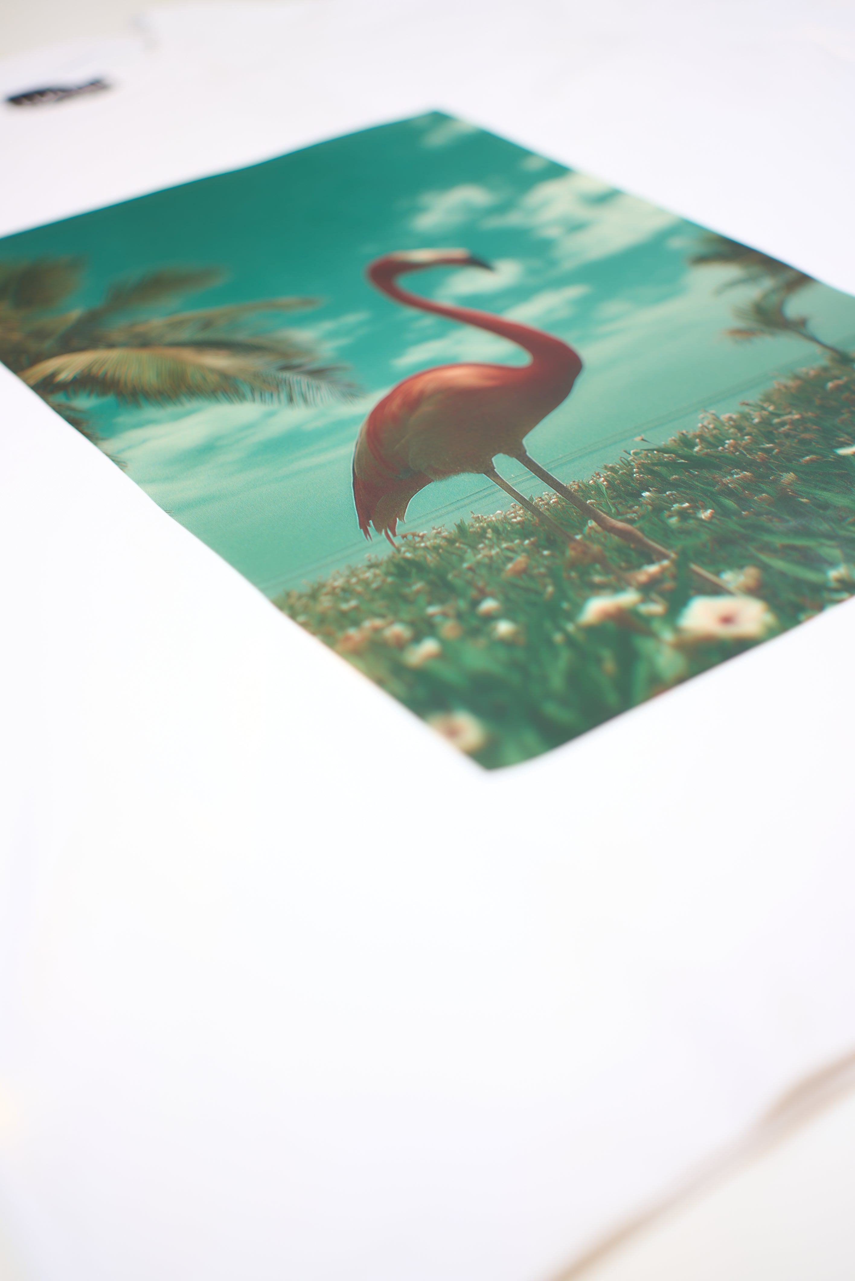 T-Shirt « Oasis » Oversize blanc imprimé flamant rose - LUCIƎN